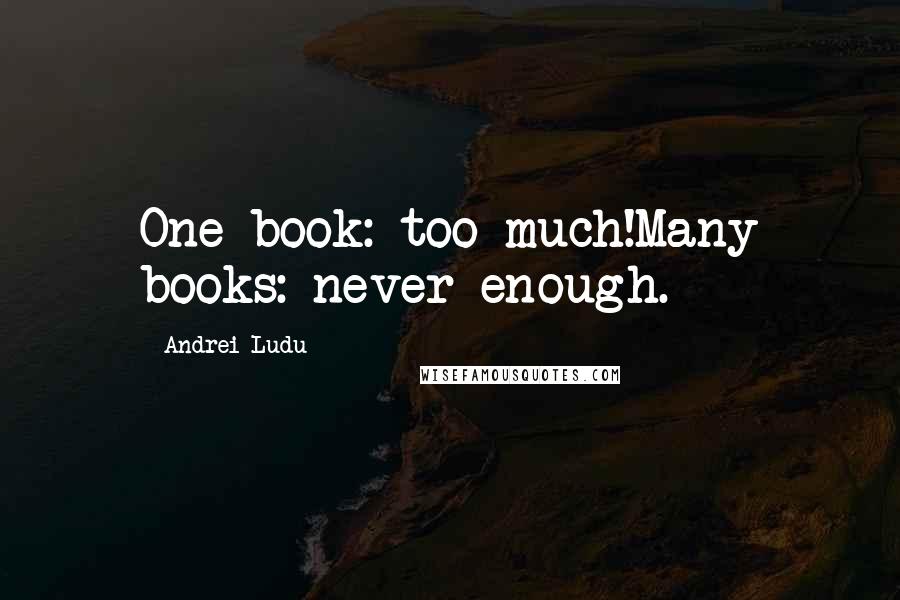Andrei Ludu quotes: One book: too much!Many books: never enough.