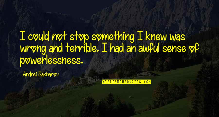 Andrei Quotes By Andrei Sakharov: I could not stop something I knew was