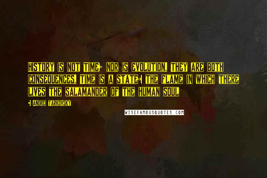 Andrei Tarkovsky quotes: History is not Time; nor is evolution. They are both consequences. Time is a state: the flame in which there lives the salamander of the human soul