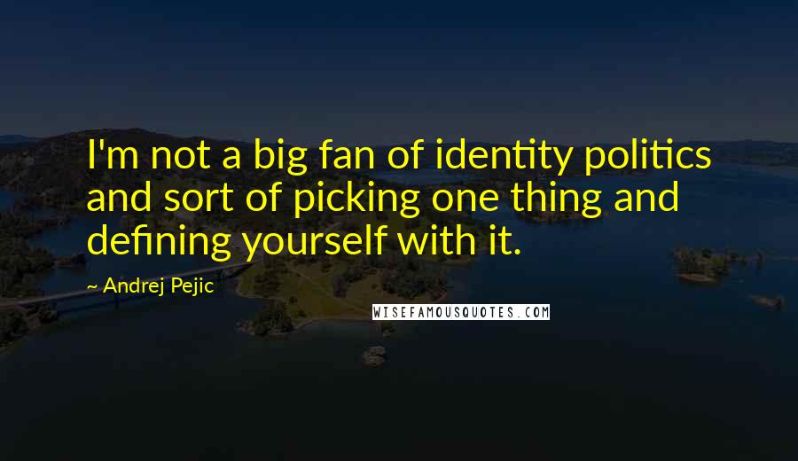 Andrej Pejic quotes: I'm not a big fan of identity politics and sort of picking one thing and defining yourself with it.