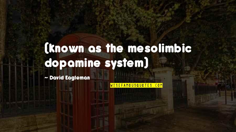 Andres Calamaro Best Quotes By David Eagleman: (known as the mesolimbic dopamine system)