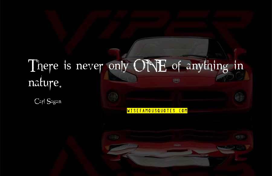 Andres Segovia Quotes By Carl Sagan: There is never only ONE of anything in Andres Segovia Quotes By Carl Sagan: There is never only ONE of anything in