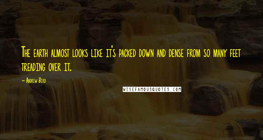 Andrew Bird quotes: The earth almost looks like it's packed down and dense from so many feet treading over it.