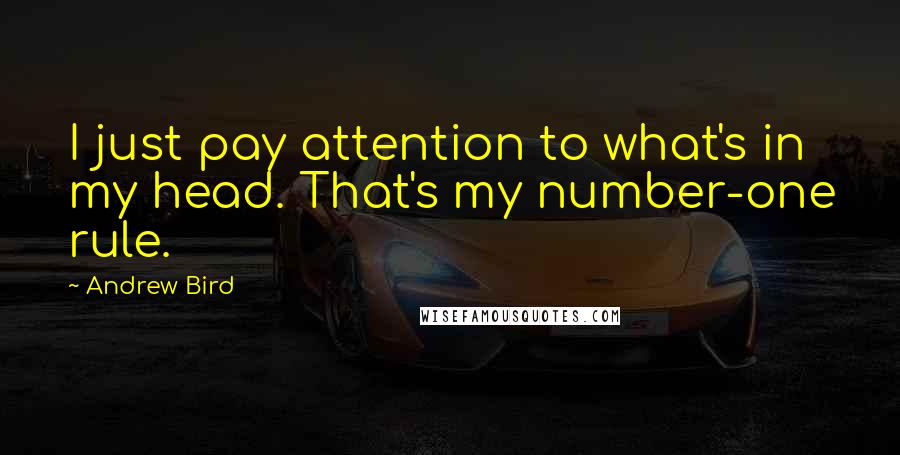 Andrew Bird quotes: I just pay attention to what's in my head. That's my number-one rule.