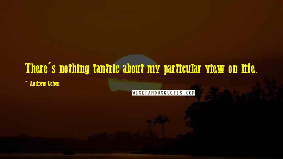 Andrew Cohen quotes: There's nothing tantric about my particular view on life.