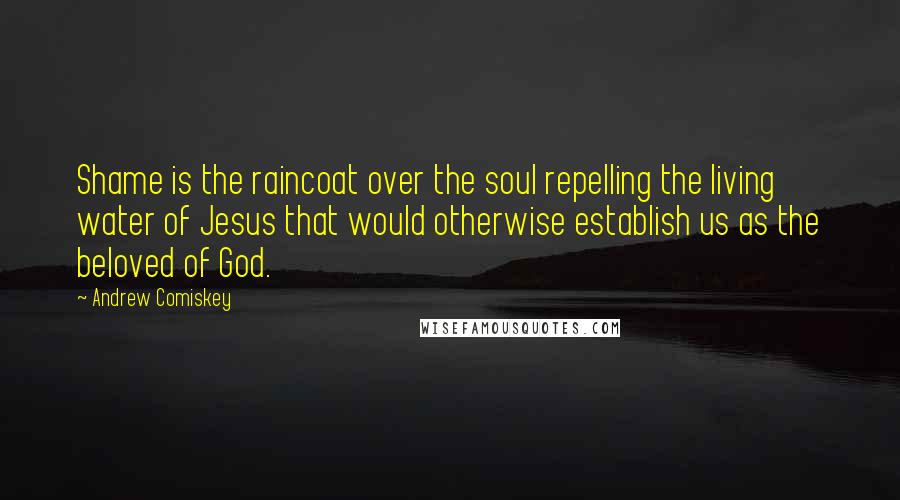 Andrew Comiskey quotes: Shame is the raincoat over the soul repelling the living water of Jesus that would otherwise establish us as the beloved of God.