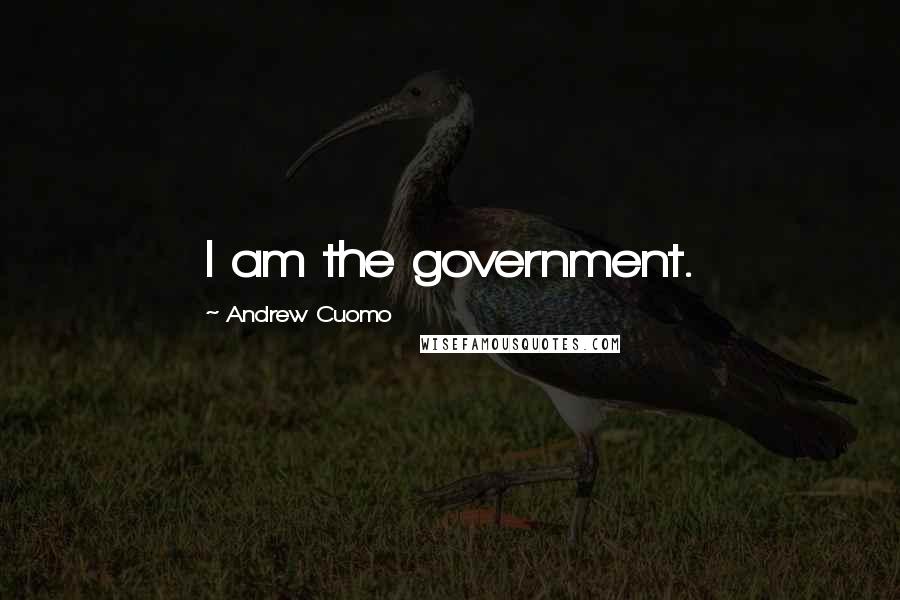 Andrew Cuomo quotes: I am the government.