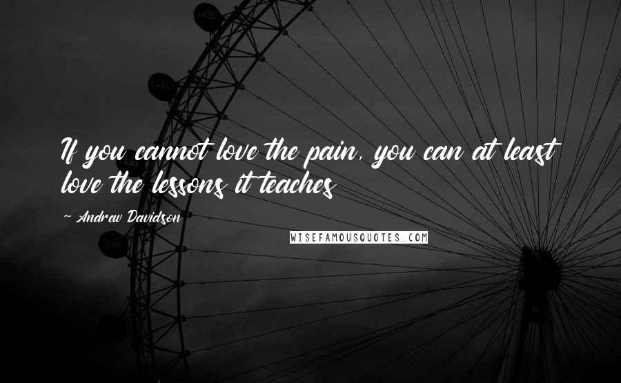 Andrew Davidson quotes: If you cannot love the pain, you can at least love the lessons it teaches