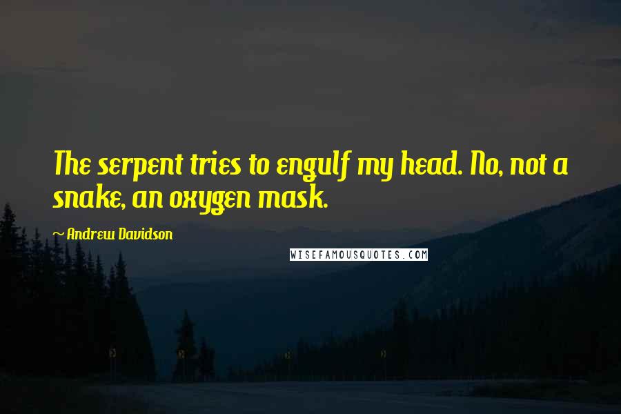 Andrew Davidson quotes: The serpent tries to engulf my head. No, not a snake, an oxygen mask.
