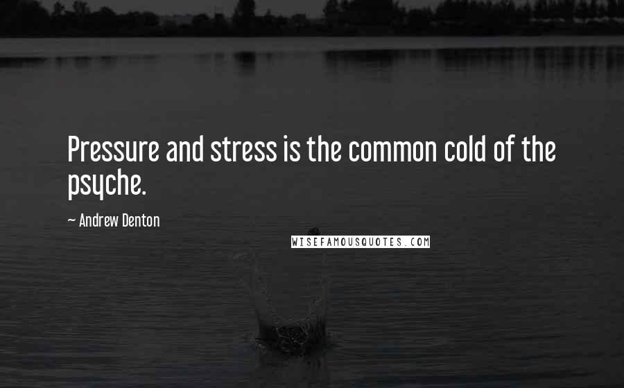 Andrew Denton quotes: Pressure and stress is the common cold of the psyche.