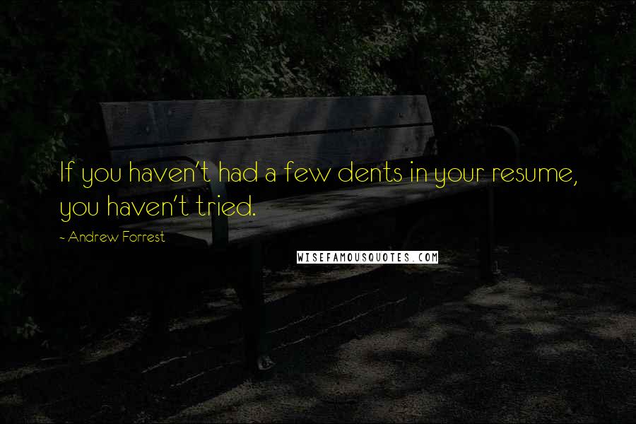 Andrew Forrest quotes: If you haven't had a few dents in your resume, you haven't tried.