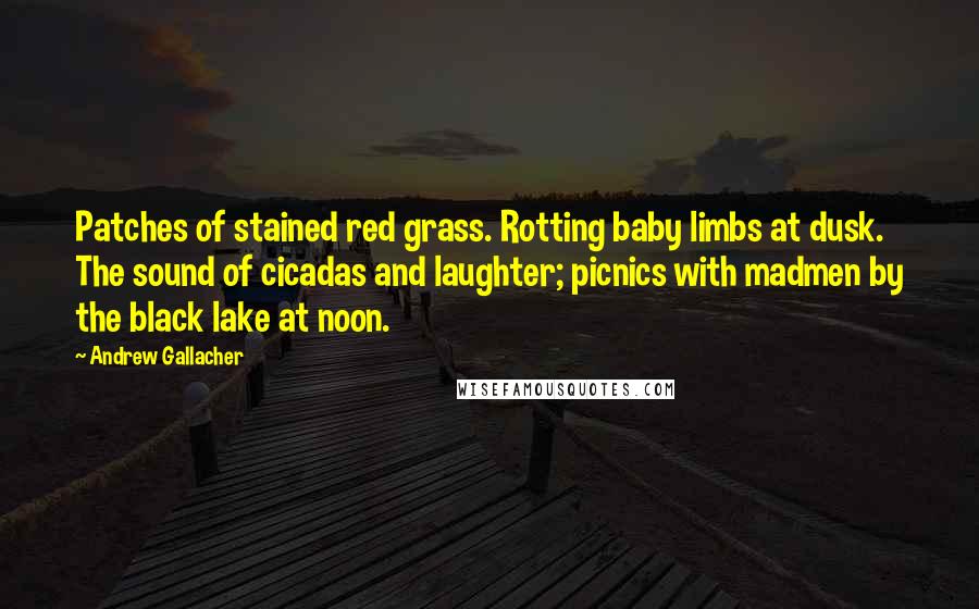 Andrew Gallacher quotes: Patches of stained red grass. Rotting baby limbs at dusk. The sound of cicadas and laughter; picnics with madmen by the black lake at noon.
