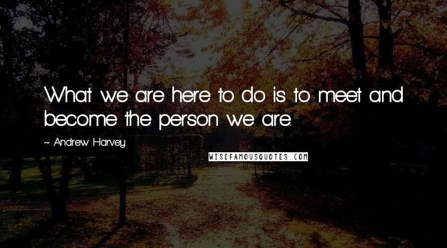 Andrew Harvey quotes: What we are here to do is to meet and become the person we are.