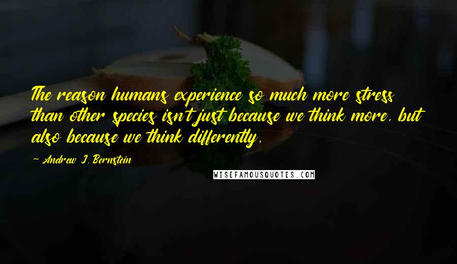 Andrew J. Bernstein quotes: The reason humans experience so much more stress than other species isn't just because we think more, but also because we think differently.