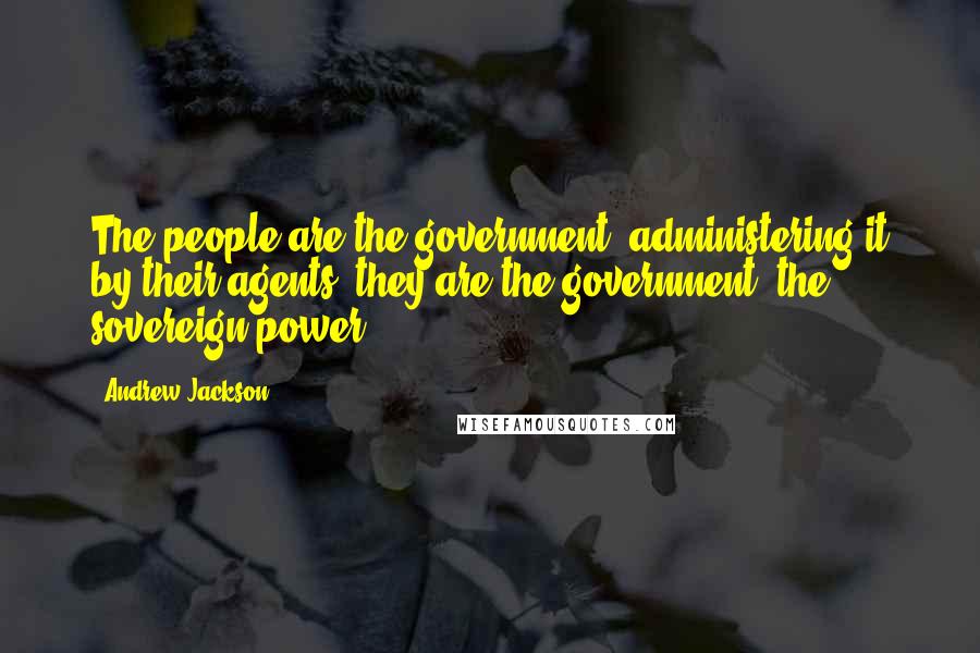 Andrew Jackson quotes: The people are the government, administering it by their agents; they are the government, the sovereign power.