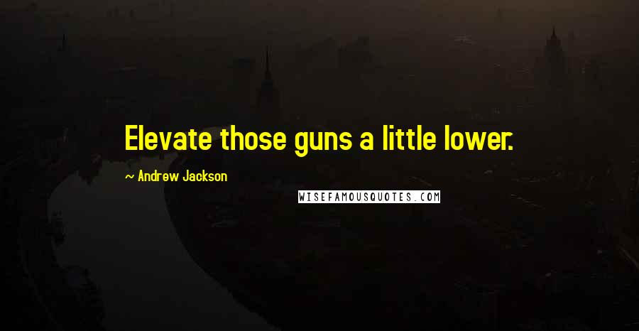 Andrew Jackson quotes: Elevate those guns a little lower.