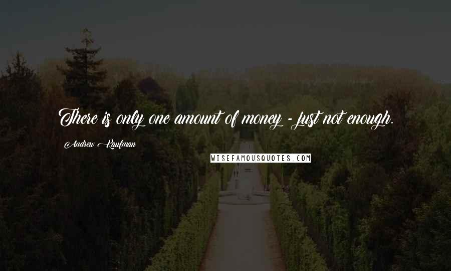 Andrew Kaufman quotes: There is only one amount of money - just not enough.