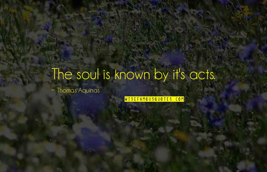 Andrew Lam Quotes By Thomas Aquinas: The soul is known by it's acts.