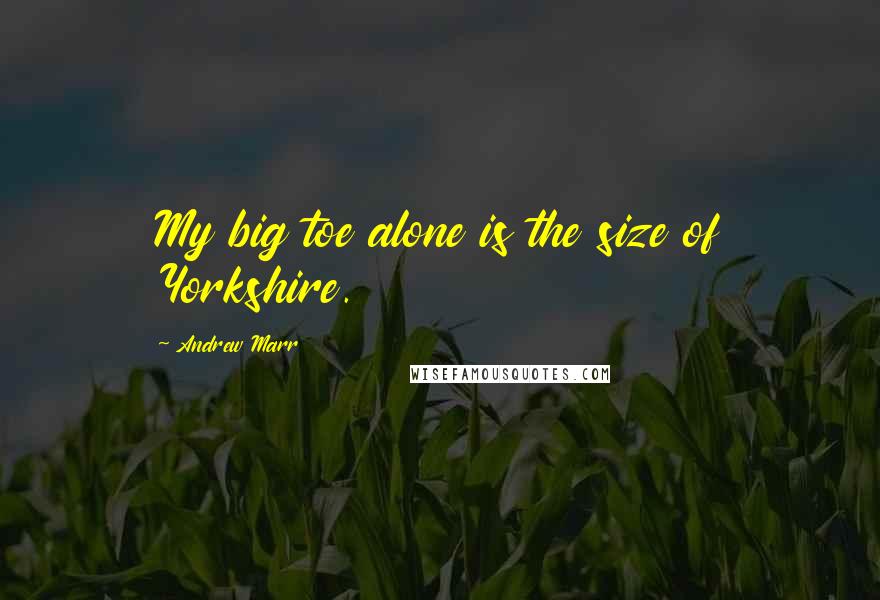 Andrew Marr quotes: My big toe alone is the size of Yorkshire.