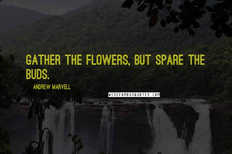 Andrew Marvell quotes: Gather the flowers, but spare the buds.