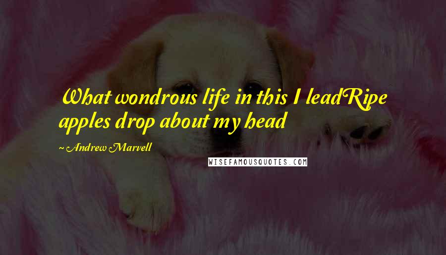 Andrew Marvell quotes: What wondrous life in this I leadRipe apples drop about my head