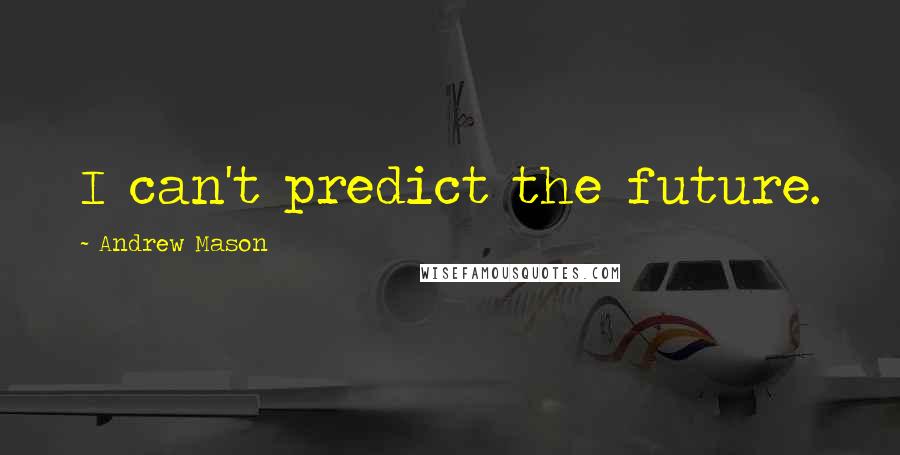 Andrew Mason quotes: I can't predict the future.