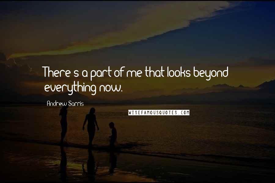 Andrew Sarris quotes: There's a part of me that looks beyond everything now.