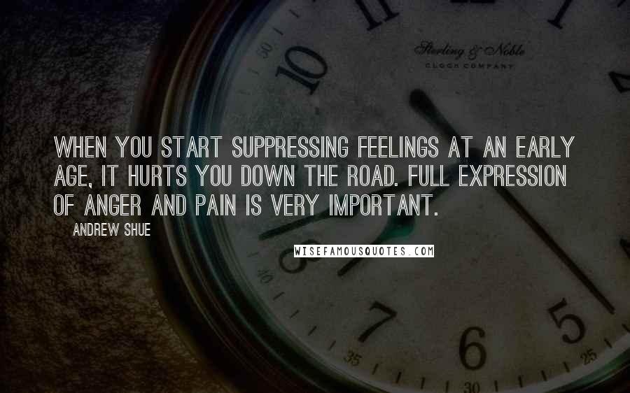 Andrew Shue quotes: When you start suppressing feelings at an early age, it hurts you down the road. Full expression of anger and pain is very important.