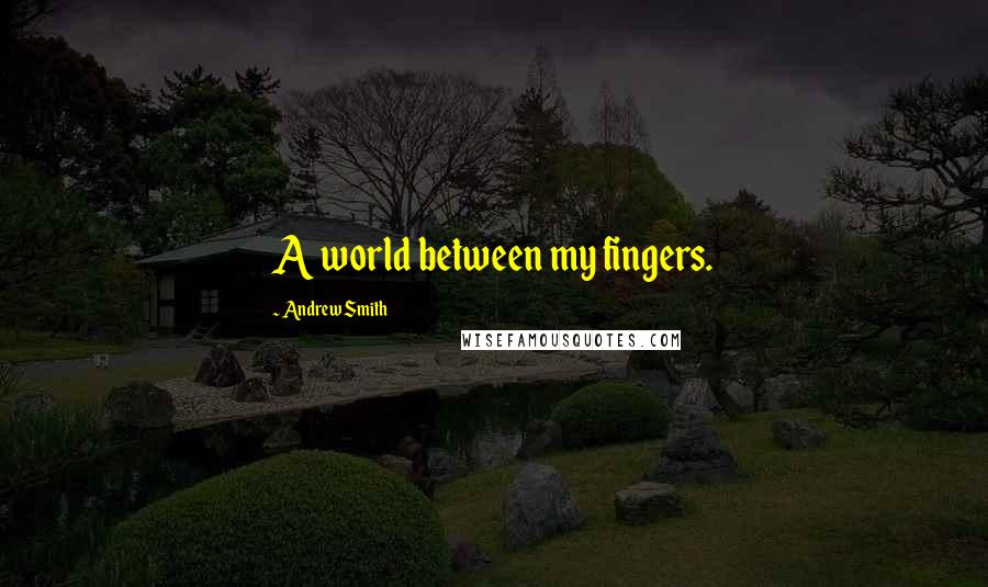 Andrew Smith quotes: A world between my fingers.