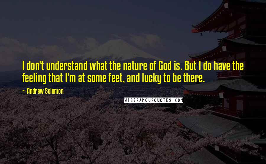 Andrew Solomon quotes: I don't understand what the nature of God is. But I do have the feeling that I'm at some feet, and lucky to be there.