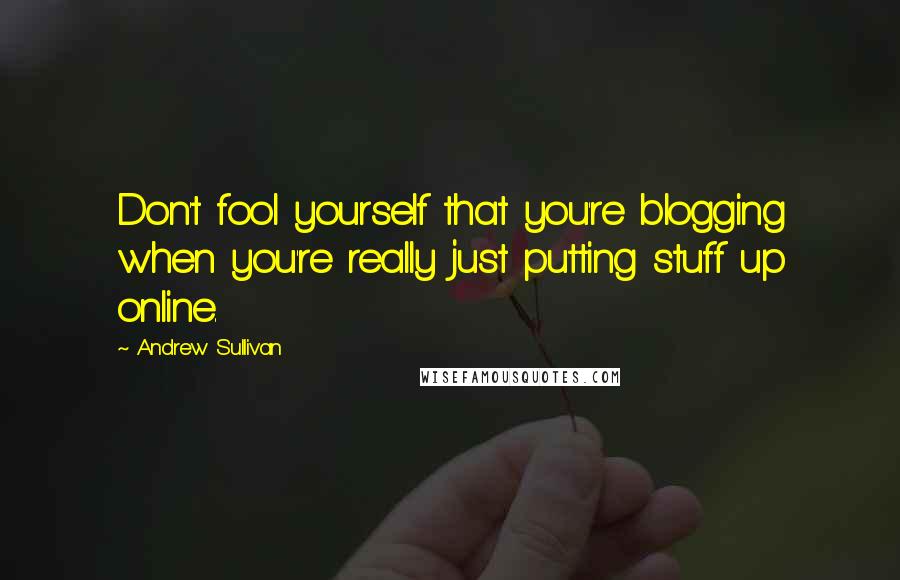 Andrew Sullivan quotes: Don't fool yourself that you're blogging when you're really just putting stuff up online.