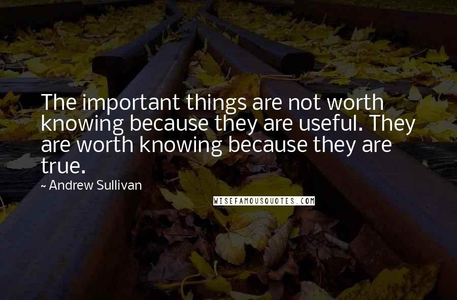 Andrew Sullivan quotes: The important things are not worth knowing because they are useful. They are worth knowing because they are true. Andrew Sullivan quotes: The important things are not worth knowing because they are useful. They are worth knowing because they are true.