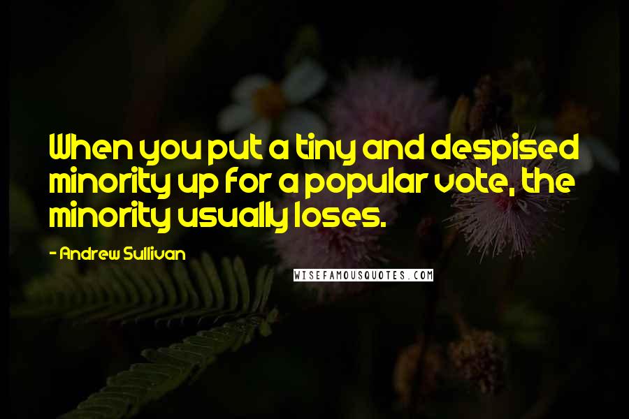 Andrew Sullivan quotes: When you put a tiny and despised minority up for a popular vote, the minority usually loses.