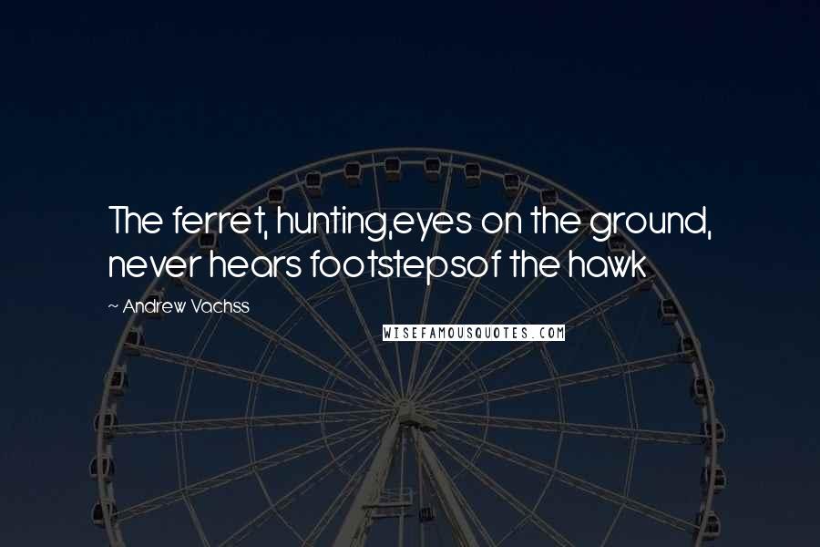 Andrew Vachss quotes: The ferret, hunting,eyes on the ground, never hears footstepsof the hawk