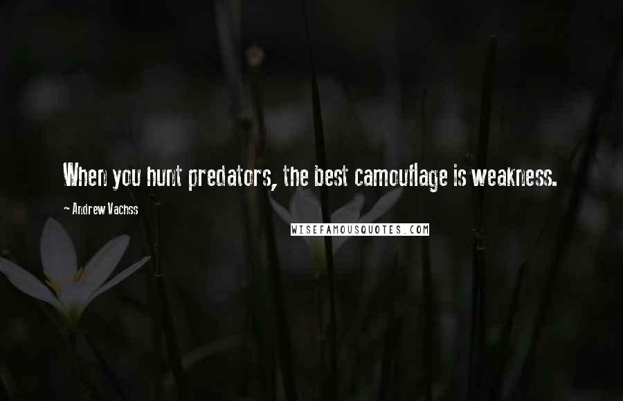 Andrew Vachss quotes: When you hunt predators, the best camouflage is weakness.