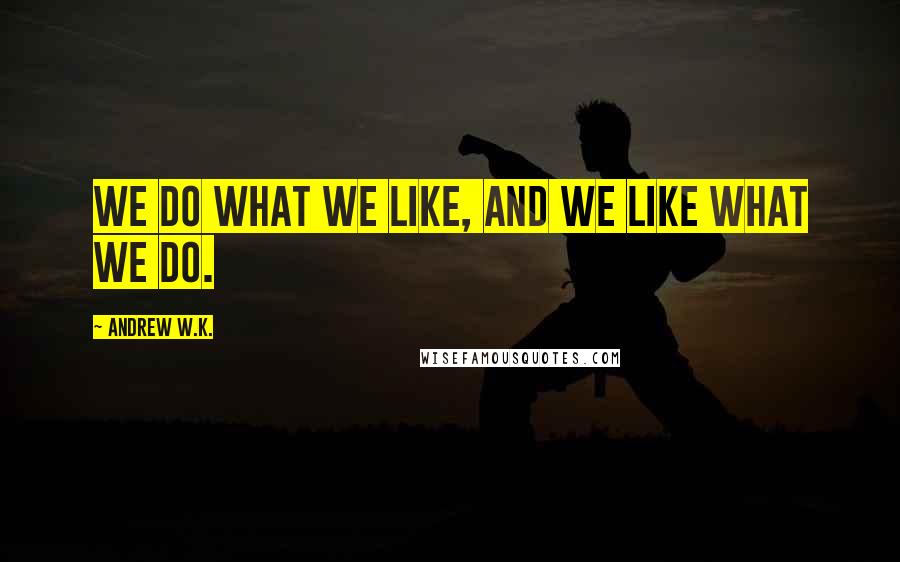 Andrew W.K. quotes: We do what we like, and we like what we do.