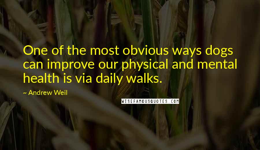 Andrew Weil quotes: One of the most obvious ways dogs can improve our physical and mental health is via daily walks.