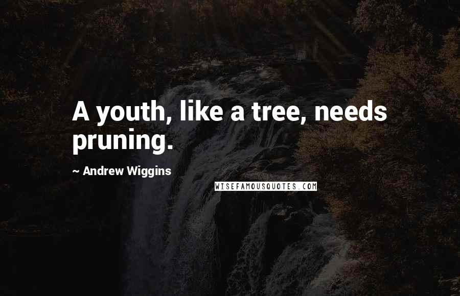Andrew Wiggins quotes: A youth, like a tree, needs pruning.