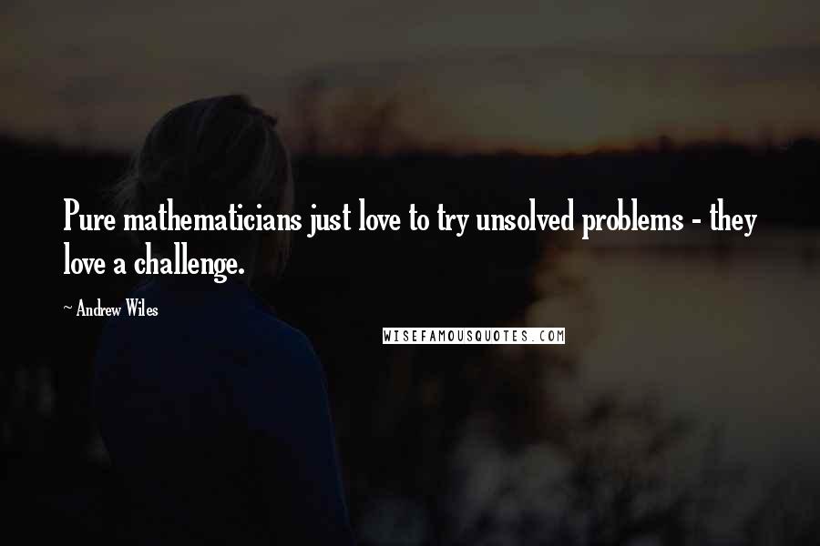 Andrew Wiles quotes: Pure mathematicians just love to try unsolved problems - they love a challenge.