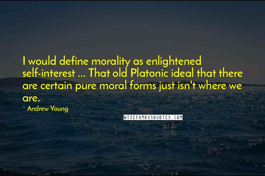 Andrew Young quotes: I would define morality as enlightened self-interest ... That old Platonic ideal that there are certain pure moral forms just isn't where we are.