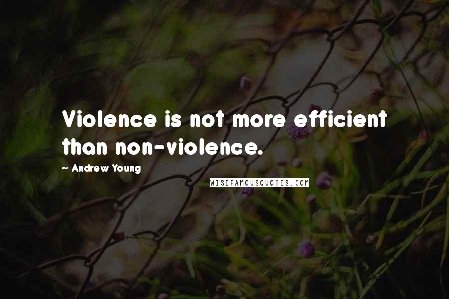 Andrew Young quotes: Violence is not more efficient than non-violence.