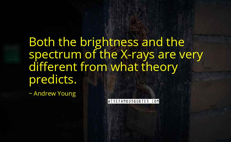 Andrew Young quotes: Both the brightness and the spectrum of the X-rays are very different from what theory predicts.