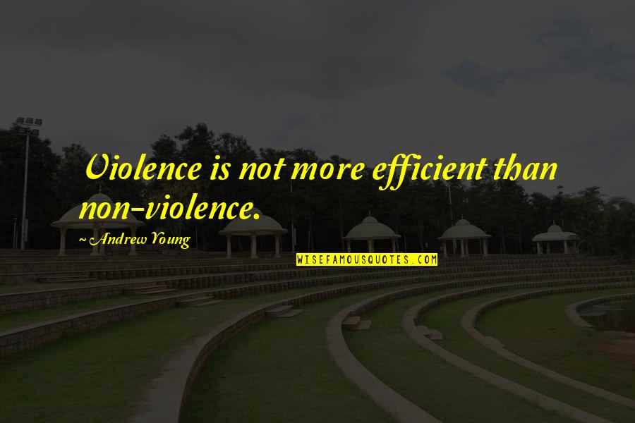 Andrew Young Quotes By Andrew Young: Violence is not more efficient than non-violence.