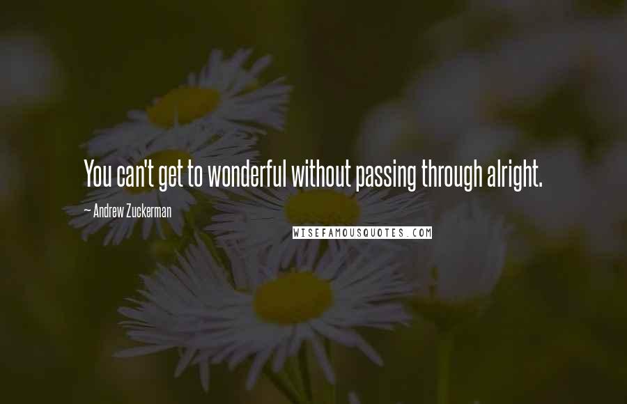 Andrew Zuckerman quotes: You can't get to wonderful without passing through alright.