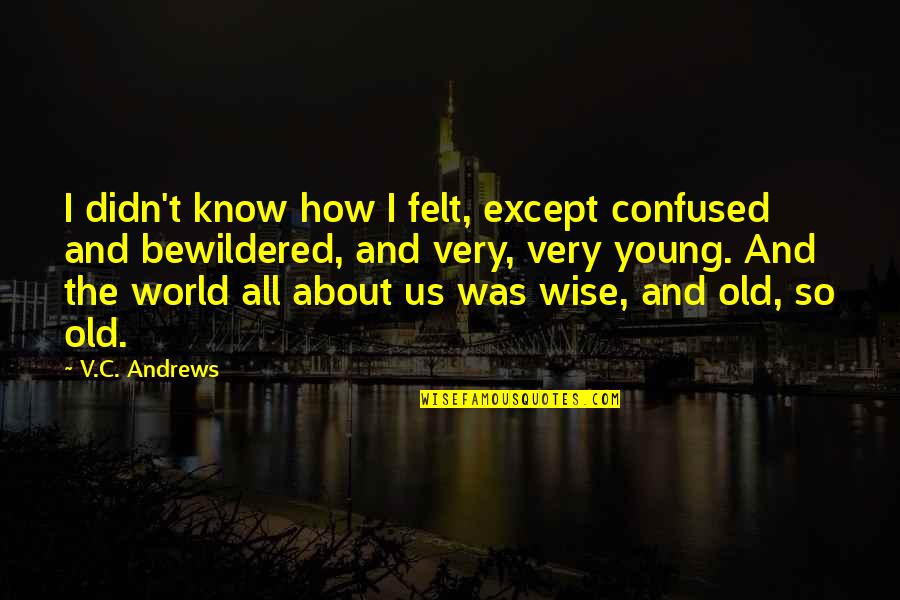 Andrews Quotes By V.C. Andrews: I didn't know how I felt, except confused