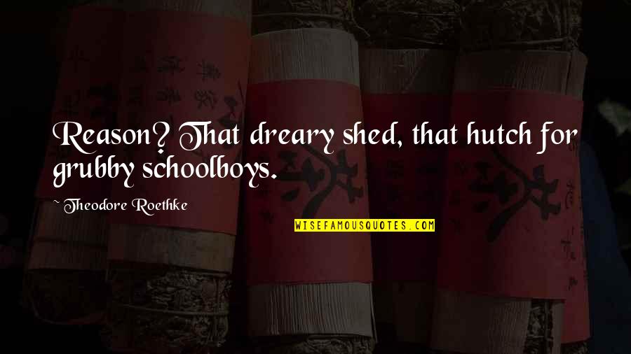 Andriano Murder Quotes By Theodore Roethke: Reason? That dreary shed, that hutch for grubby Andriano Murder Quotes By Theodore Roethke: Reason? That dreary shed, that hutch for grubby