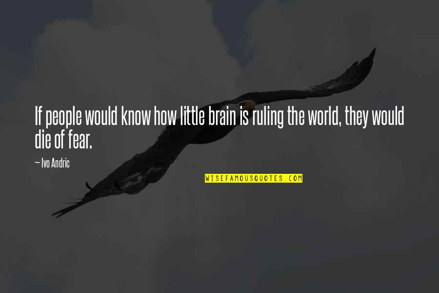 Andric Quotes By Ivo Andric: If people would know how little brain is