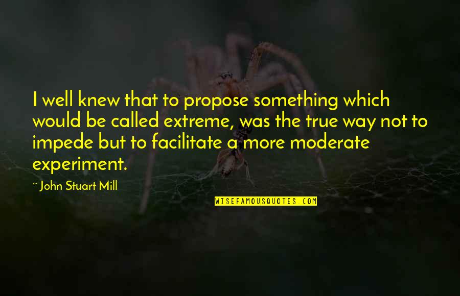 Andrienne Quotes By John Stuart Mill: I well knew that to propose something which Andrienne Quotes By John Stuart Mill: I well knew that to propose something which