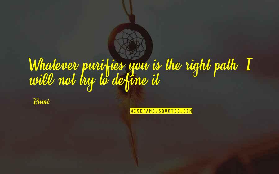 Andriette Songs Quotes By Rumi: Whatever purifies you is the right path, I