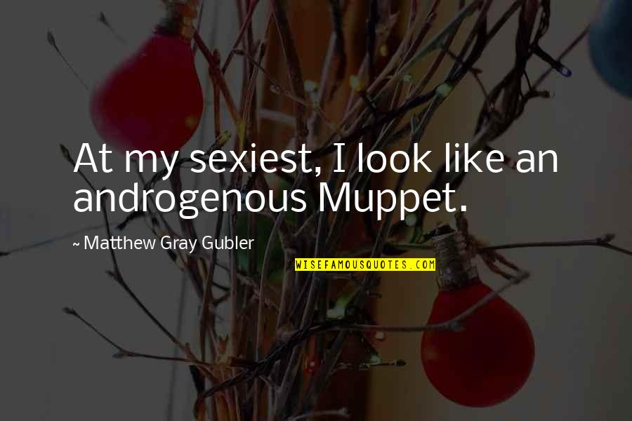 Androgenous Quotes By Matthew Gray Gubler: At my sexiest, I look like an androgenous